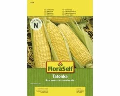 Zuckermais 'Tatonka' FloraSelf F1 Hybride Gemüsesamen