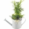 Arrangement FloraSelf Giesskanne H 38-40 Cm Ø 13 Cm Topf -Hornbach Gartenmarkt DV 8 5855102 01 4c DE 20180111102434