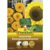Anzucht-Set Zwergsonnenblumen Blumensamen FloraSelf Nature