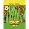 Prunkbohne 'Lady Di' FloraSelf Samenfestes Saatgut Gemüsesamen -Hornbach Gartenmarkt DV 8 6202878 01 4c AT 20190410141958