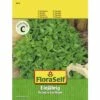 Basilikum Feinblättrig FloraSelf Samenfestes Saatgut Kräutersamen