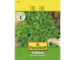 Basilikum Feinblättrig FloraSelf Samenfestes Saatgut Kräutersamen