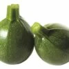 Zucchini FloraSelf Cucurbita Pepo 'Satelite' Ø 10,5 Cm Topf