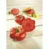 Fleischtomate 'Buffalo Steak' F1 FloraSelf Ø 12 Cm Topf Veredelt -Hornbach Gartenmarkt DV 8 6272281 01 4c DE 20200501051659