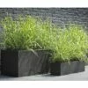 Rutenhirse FloraSelf Panicum Virgatum 'Prairie Sky' H 20-60 Cm Co 3 L 2 Rutenhirse FloraSelf Panicum Virgatum 'Prairie Sky' H 20-60 Cm Co 3 L -Hornbach Gartenmarkt DV 8 6357361 03 4c DE 20210719144658