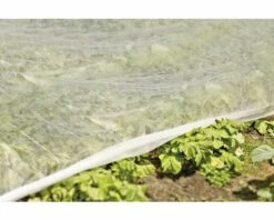 Unkraut Vlies FloraSelf 30 G/m² 5 X 1 M -Hornbach Gartenmarkt DV 8 6425329 02 4c CH 20171221203051