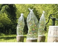 Tomatenhaube Tomatenhut FloraSelf 10x0,65 N Transparent 5 Tomatenhaube Tomatenhut FloraSelf 10x0,65 N Transparent -Hornbach Gartenmarkt DV 8 6425346 01 4c DE 20180118173350