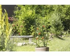 Tomaten-Rankturm Gurkenturm FloraSelf 150x30 Cm Grün -Hornbach Gartenmarkt DV 8 6425352 03 4c AT 20210609104650