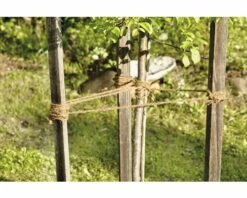 Gartenschnur FloraSelf Kokos Ø 4 Mm L 25 M -Hornbach Gartenmarkt DV 8 6425356 02 4c DE 20181217201454