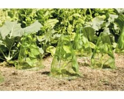 Pflanzenhut FloraSelf Ø 19,5 H 23 Cm 10 Stk -Hornbach Gartenmarkt DV 8 6425358 02 4c DE 20180308232759