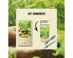 Pikierset FloraSelf Kunststoff 2 Stk -Hornbach Gartenmarkt DV 8 6425378 04 4c AT 20220728161658