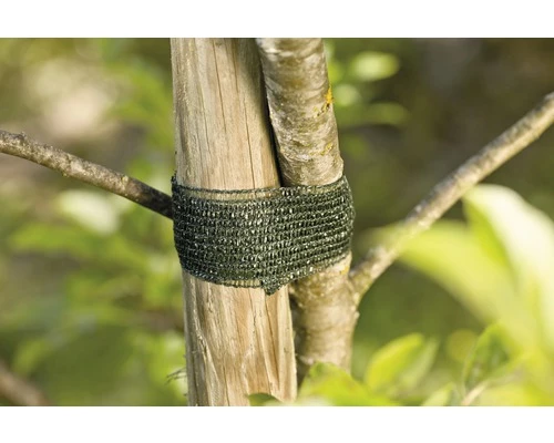 Baumbinder FloraSelf Kunststoff 3 M 3 Stk 3 Baumbinder FloraSelf Kunststoff 3 M 3 Stk