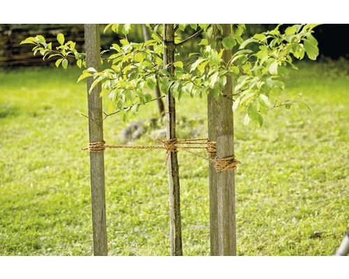 Gartenschnur FloraSelf Jute 50 M 4 Gartenschnur FloraSelf Jute 50 M – Bild 2