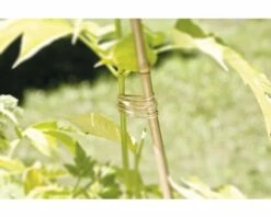 Gartenschnur FloraSelf Jute 250 M 5 Gartenschnur FloraSelf Jute 250 M -Hornbach Gartenmarkt DV 8 6425412 02 4c DE 20181217203516