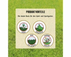 Rasensamen FloraSelf Sport- Und Spielrasen 1,2 Kg 50 M² -Hornbach Gartenmarkt DV 8 6542564 04 4c AT 20230125111752