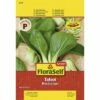Pak Choi 'Tatsoi' FloraSelf Select Samenfestes Saatgut Gemüsesamen -Hornbach Gartenmarkt DV 8 6568218 03 4c DE 20180111190301