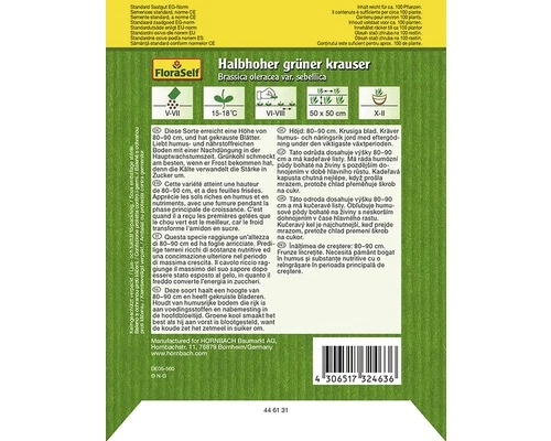 Grünkohl 'Halbhoher Kraus' FloraSelf Samenfestes Saatgut Gemüsesamen 4 Grünkohl 'Halbhoher Kraus' FloraSelf Samenfestes Saatgut Gemüsesamen – Bild 2