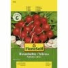 Radieschen 'Vitessa' FloraSelf Samenfestes Saatgut Gemüsesamen 2 Radieschen 'Vitessa' FloraSelf Samenfestes Saatgut Gemüsesamen -Hornbach Gartenmarkt DV 8 6568225 03 4c DE 20180111191019