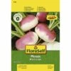 Herbstrübe 'Plessis' FloraSelf F1 Hybride Gemüsesamen -Hornbach Gartenmarkt DV 8 6568226 03 4c DE 20180111191051