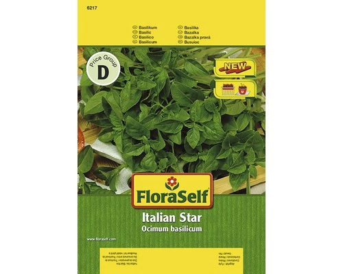 Basilikum 'Italian Star' FloraSelf Samenfestes Saatgut Kräutersamen 3 Basilikum 'Italian Star' FloraSelf Samenfestes Saatgut Kräutersamen