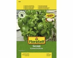 Basilikum 'Gecom' FloraSelf Samenfestes Saatgut Kräutersamen