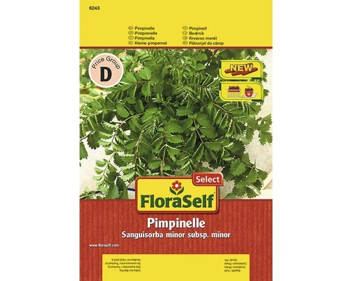 Pimpinelle FloraSelfSelect Samenfestes Saatgut Kräutersamen 3 Pimpinelle FloraSelfSelect Samenfestes Saatgut Kräutersamen