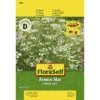 Kümmel 'Aroma Star' FloraSelf Samenfestes Saatgut -Hornbach Gartenmarkt DV 8 6568242 03 4c DE 20180111184215