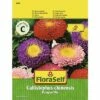 Pompon-Aster FloraSelf Samenfestes Saatgut Blumensamen 1 Pompon-Aster FloraSelf Samenfestes Saatgut Blumensamen -Hornbach Gartenmarkt DV 8 6568249 03 4c AT 20220207161654