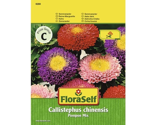 Pompon-Aster FloraSelf Samenfestes Saatgut Blumensamen 3 Pompon-Aster FloraSelf Samenfestes Saatgut Blumensamen