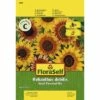 Sonnenblume 'Small Flowered Mix' FloraSelf Samenfestes Saatgut Blumensamen -Hornbach Gartenmarkt DV 8 6568255 03 4c DE 20180111185022