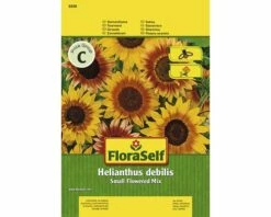 Sonnenblume 'Small Flowered Mix' FloraSelf Samenfestes Saatgut Blumensamen