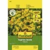 Tagetes 'Anisata' FloraSelf Samenfestes Saatgut Blumensamen -Hornbach Gartenmarkt DV 8 6568264 03 4c DE 20180111192014