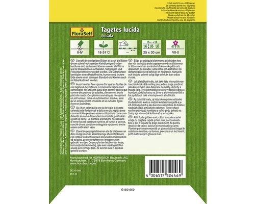 Tagetes 'Anisata' FloraSelf Samenfestes Saatgut Blumensamen 4 Tagetes 'Anisata' FloraSelf Samenfestes Saatgut Blumensamen – Bild 2