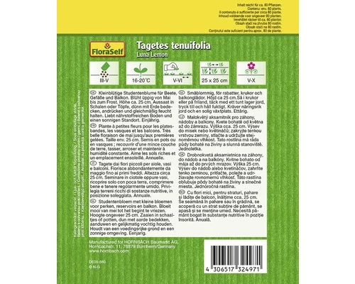 Kleinblütige Studentenblume 'Luna Lemon' FloraSelf Samenfestes Saatgut Blumensamen 4 Kleinblütige Studentenblume 'Luna Lemon' FloraSelf Samenfestes Saatgut Blumensamen – Bild 2