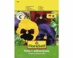 Stiefmütterchen 'Schweizer Riesen-Mix' FloraSelf Samenfestes Saatgut Blumensamen