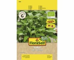 Bio Salbei 'Salina' FloraSelfBio Samenfestes Saatgut Kräutersamen