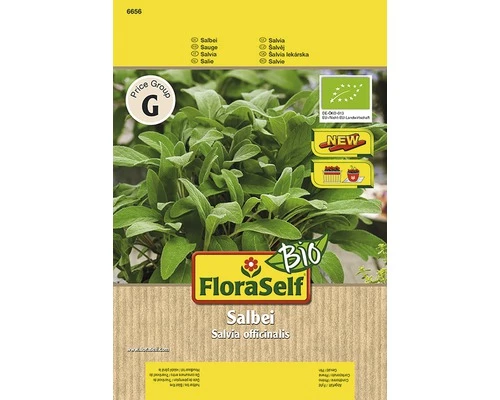 Bio Salbei 'Salina' FloraSelfBio Samenfestes Saatgut Kräutersamen 3 Bio Salbei 'Salina' FloraSelfBio Samenfestes Saatgut Kräutersamen