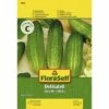 Gurke 'Delikateß' FloraSelf Samenfestes Saatgut Gemüsesamen -Hornbach Gartenmarkt DV 8 6568314 03 4c DE 20180111200824