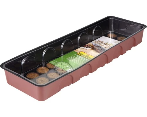 Zimmergewächshaus FloraSelf Fensterbank-Treibhaus 55x17x11 Cm Inkl. 36 Quelltabs Und Haube 3 Zimmergewächshaus FloraSelf Fensterbank-Treibhaus 55x17x11 Cm Inkl. 36 Quelltabs Und Haube