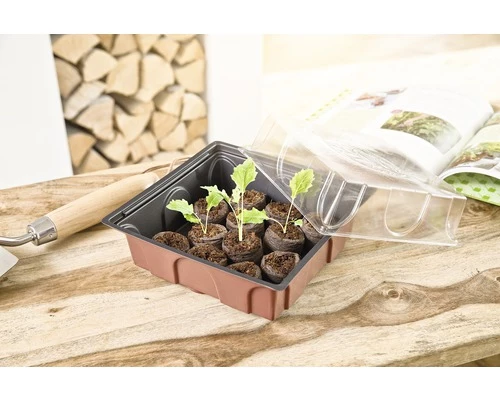 Zimmergewächshaus FloraSelf Fensterbank-Treibhaus 20x19x11 Cm Inkl. 12 Quelltabs Und Haube 4 Zimmergewächshaus FloraSelf Fensterbank-Treibhaus 20x19x11 Cm Inkl. 12 Quelltabs Und Haube – Bild 2