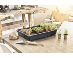 Multifunktions-Schale FloraSelf Saat-Schale 57x42x10 Cm Ohne Haube 5 Multifunktions-Schale FloraSelf Saat-Schale 57x42x10 Cm Ohne Haube -Hornbach Gartenmarkt DV 8 6623225 01 4c AT 20181128171655