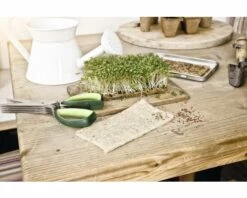 Saat- Und Vlieseinlage FloraSelf 0,3-0,5 Cm 5 Stk 5 Saat- Und Vlieseinlage FloraSelf 0,3-0,5 Cm 5 Stk -Hornbach Gartenmarkt DV 8 6623228 01 4c CH 20190109064752