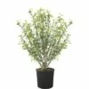 Garteneibisch FloraSelf Hibiscus Syriacus H 120-130 Cm Co 25 L Zufällige Sortenauswahl -Hornbach Gartenmarkt DV 8 6858290 01 4c CH 20181101051655