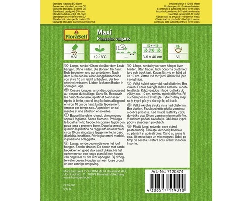 Buschbohne 'Maxi' FloraSelf Samenfestes Saatgut Gemüsesamen 4 Buschbohne 'Maxi' FloraSelf Samenfestes Saatgut Gemüsesamen – Bild 2