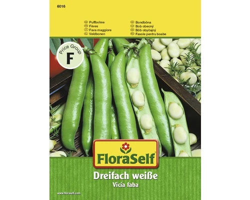 Puffbohne 'Dreifach Weiße' FloraSelf Samenfestes Saatgut Gemüsesamen 3 Puffbohne 'Dreifach Weiße' FloraSelf Samenfestes Saatgut Gemüsesamen