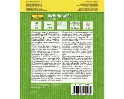 Puffbohne 'Dreifach Weiße' FloraSelf Samenfestes Saatgut Gemüsesamen 4 Puffbohne 'Dreifach Weiße' FloraSelf Samenfestes Saatgut Gemüsesamen – Bild 2