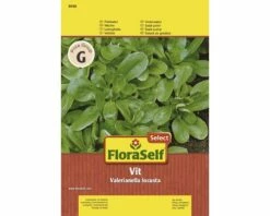 Feldsalat 'Vit' FloraSelf Select Samenfestes Saatgut Salatsamen