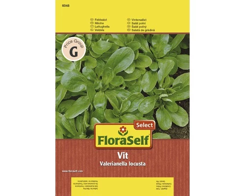 Feldsalat 'Vit' FloraSelf Select Samenfestes Saatgut Salatsamen 3 Feldsalat 'Vit' FloraSelf Select Samenfestes Saatgut Salatsamen