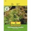 Salat 'Amerikanischer Brauner' FloraSelf Samenfestes Saatgut Salatsamen 2 Salat 'Amerikanischer Brauner' FloraSelf Samenfestes Saatgut Salatsamen -Hornbach Gartenmarkt DV 8 7120900 01 4c AT 20230104141756