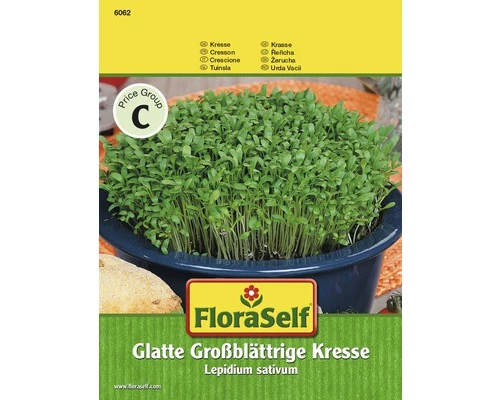 Kresse 'Glatt' FloraSelf Samenfestes Saatgut Kräutersamen 3 Kresse 'Glatt' FloraSelf Samenfestes Saatgut Kräutersamen